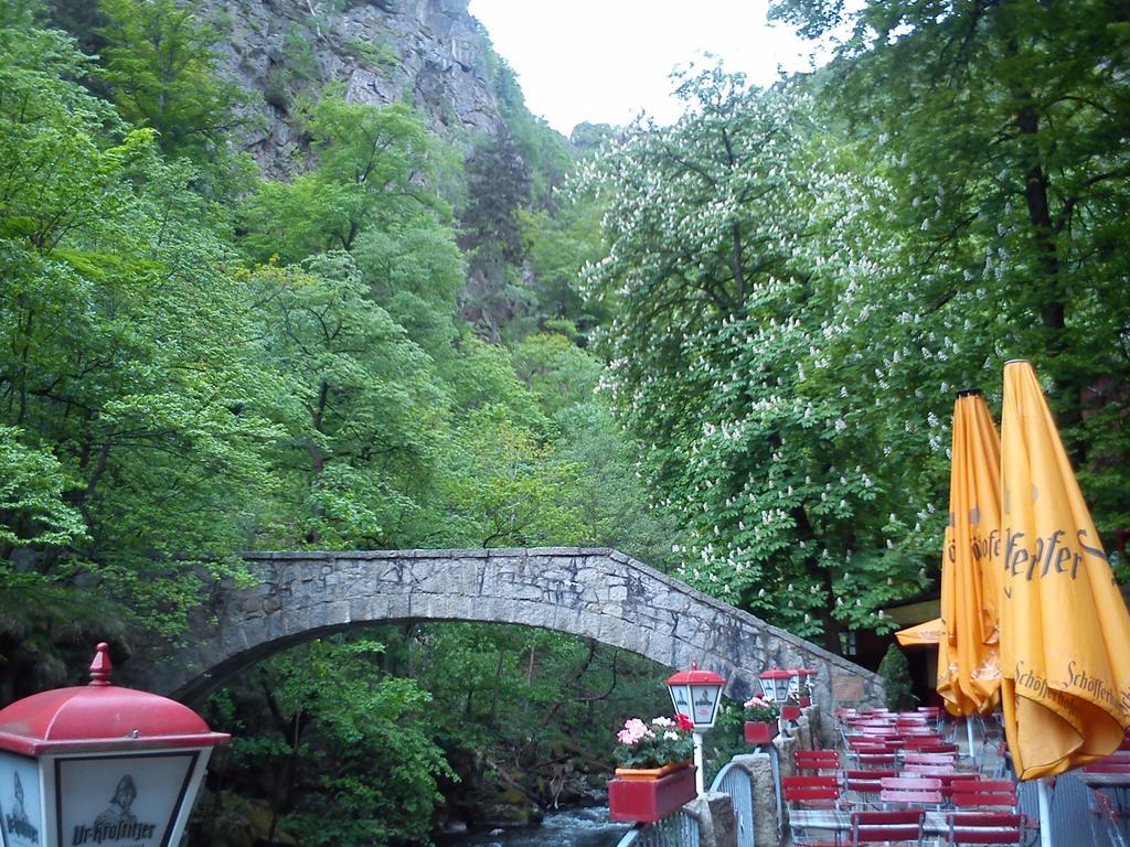 Rosstrappensicht Daire Thale Dış mekan fotoğraf